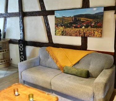 Hunawihr Apartamento | Huna’gîte