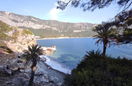 Karaoz Apartamento | Hurmalik Aparts & Bungalows - Family Bungalows - Large Garden Bungalow with Barbecue