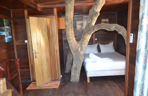 Kribi Cabina | Hut in the old Mangoo tree . Breakfast incl