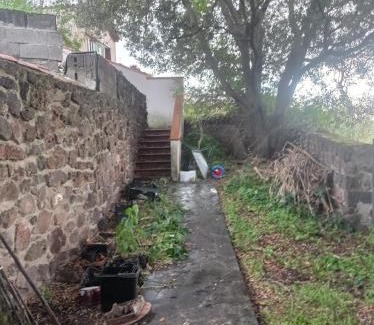 Narbolia Casa | i giardini di Ailobran