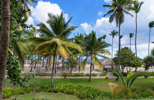 Bavaro Complejo | Iberostar Selection Coral Bávaro - All Inclusive