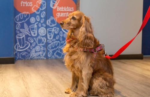 Matriz Hotel | ibis budget Curitiba Centro