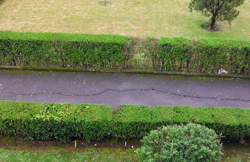 Algorta Apartamento | Apartamento Getxo Tranquility. Wifi gratis. Aparcamiento en la calle.