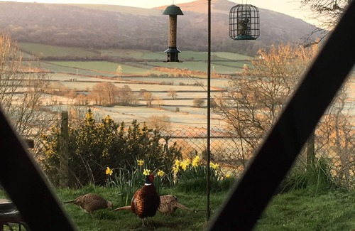 Langford Cabaña | Casa idílica en el corazón de Somerset, en las estribaciones de los mendips AONB