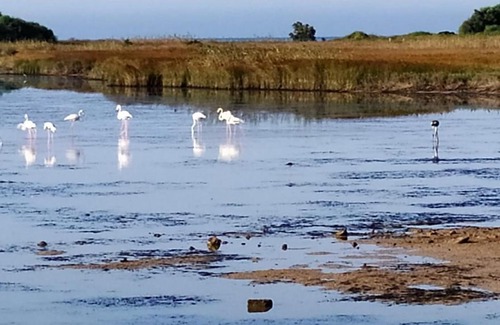 Granelli Casa | Igloo sulla spiaggia