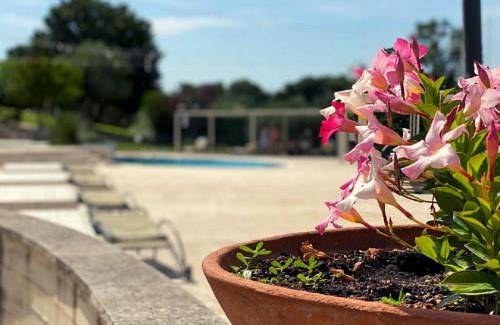 Locorotondo Hotel | Il Palmento Hotel Relais