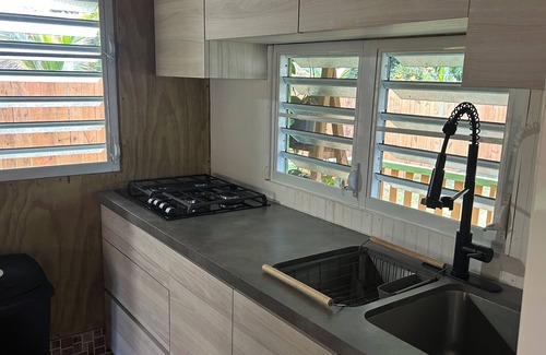Anasco Casa | Imagined Future Guest House - River and beach side house