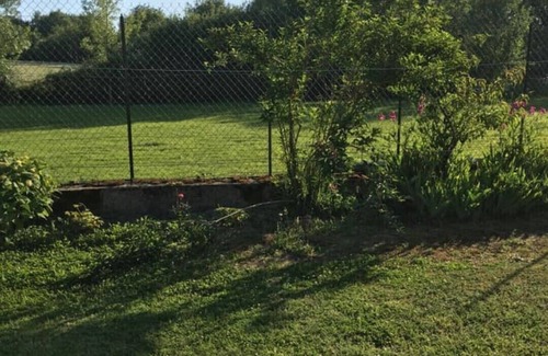 Chateau-Thebaud Casa | -En medio de los viñedos-