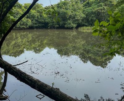 Polonnaruwa Complejo | In the Wild by RoamCeylon