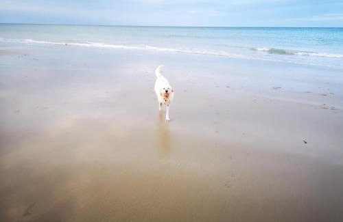 East Runton Cama Y Desayuno | Incleborough House B & B