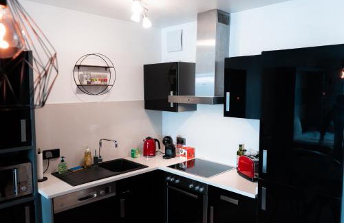 Esch-sur-Alzette Apartamento | Industrial Apartment in Belval the University City