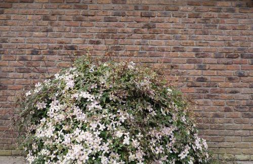 Knockaderry Cross Roads Cama Y Desayuno | Inglewood Lodge B&B