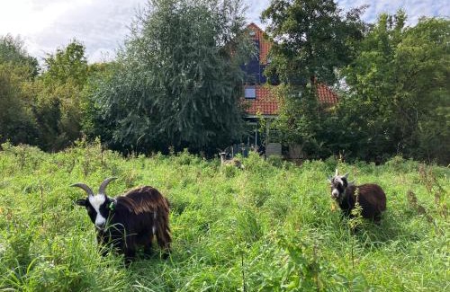 Nieuw-West Apartamento | Inn Het Nest