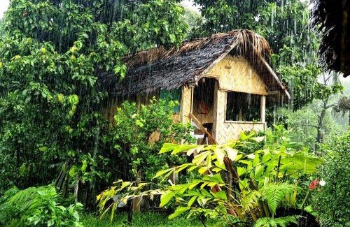 Tanna Island Cama Y Desayuno | island paradise bungalows