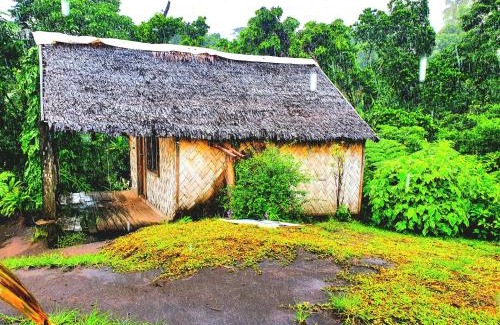 Tanna Island Cama Y Desayuno | island paradise bungalows