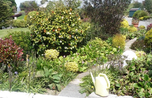 Bantry Chalet De Esquí | Island View Holiday Cottage