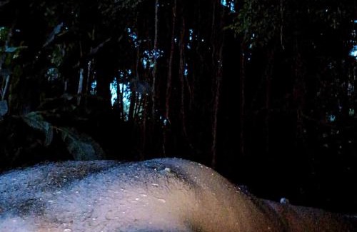 Maspotha Otro | Islandwide G camping