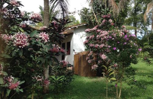 Itacare Casa | Itacaré EcoRanch Casa