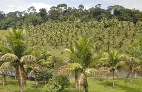 Itacare Casa | Itacaré EcoRanch Casa