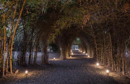 Vikram Van Hotel | Jaagir Manor, Dudhwa - IHCL SeleQtions