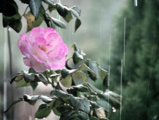 Krondorf Casa | Jacobs Creek Retreat - Barossa Valley