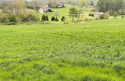 Blairsville Casa | Jacuzzi, Fireplace, Nature, Views, Peaceful, Patio