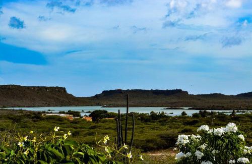 Jan Kok Apartamento | Jan Kok Lodges