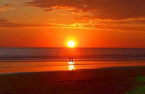 Playa Matapalo Cama Y Desayuno | Jardín de los Monos