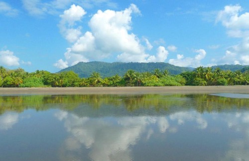 Playa Matapalo Cama Y Desayuno | Jardín de los Monos