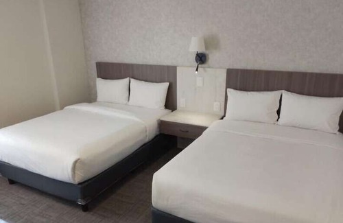 San Luis Potosí Hotel | JM & Suites