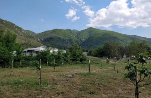 Arles-sur-Tech Apartamento | Joli appartement avec jardin à 5 min des Thermes