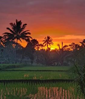 Tetebatu Casa | Jonny's Places