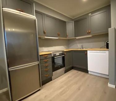 Randsverk Apartamento | Jotunheimen/Besseggen/7ppl/View/Amazing hikes