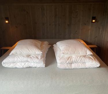 Vaga Apartamento | Jotunheimen Husky Lodge