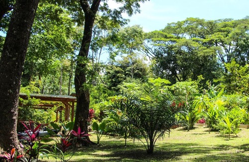 Cabuya Casa | Jungle Lodge