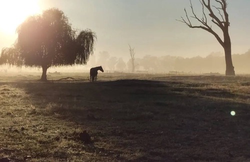 Caniambo Cabaña | Kalara Cottage Farm stay