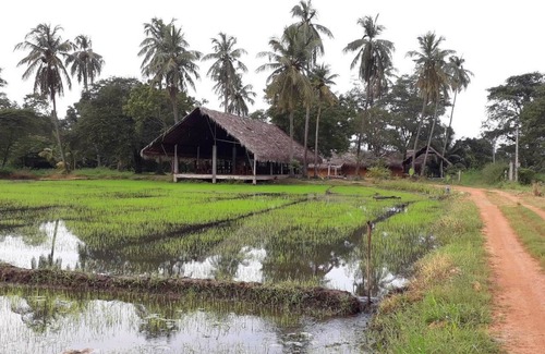 Polonnaruwa Casa | Kamatha Resort