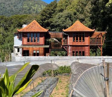 Candikuning Villa | Kanugrahan Umah Kebun