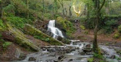 Mauron Cama Y Desayuno | Ker Cado - Chambre d'hôtes