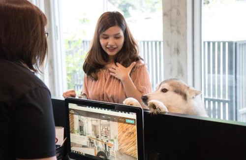 Chiang Mai Hotel | Ketawa Pet Friendly Hotel