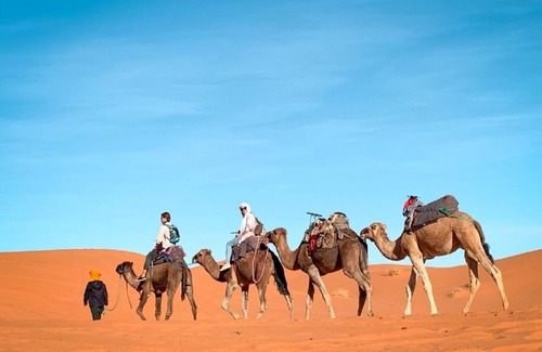 Taouz Cama Y Desayuno | Khamlia Desert Luxury Camp