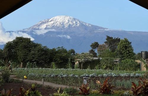 Moshi Casa | Kibo View Farm Lodge