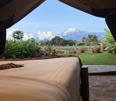 Moshi Casa | Kibo View Farm Lodge