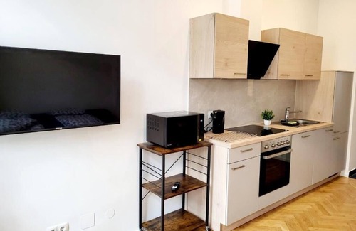 Rudolfsheim-Funfhaus Apartamento | Kienmayer Apartment Vienna