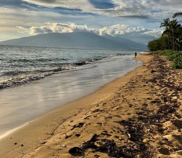 Kihei Apartamento | Kihei Maui Island Style, Beach, Pool, Restaurants Kihei Gardens Estates