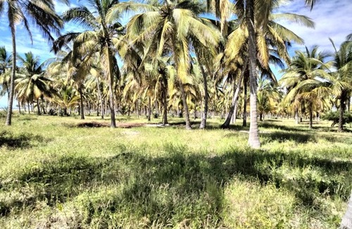 Kilwa Hotel | Kimbilio Cottages