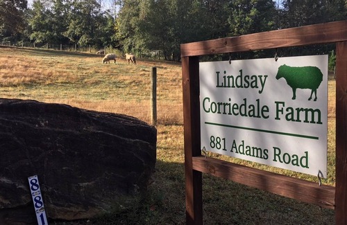 Jefferson Otro | King Bed in Farmhouse on rural sheep and goat farm