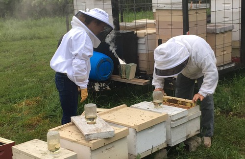 Jefferson Otro | King Bed in Farmhouse on rural sheep and goat farm
