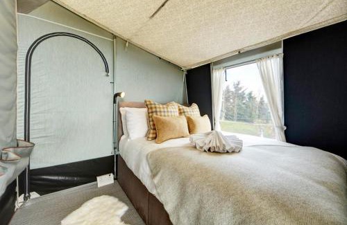 Rhayader Casa | King Fisher