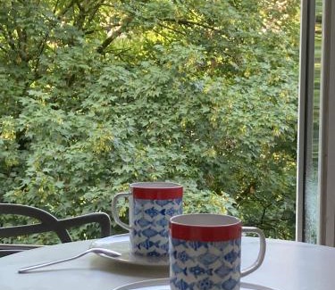 Mulhouse Apartamento | King size lounge 76m2 de confort au centre ville